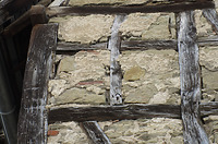 Nordansicht, Detail Fachwerk / Wohnhaus in 75031 Eppingen (26.02.2016 - strebewerk. Architekten GmbH)