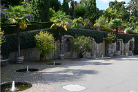 Ansicht der Mauer Unten im Sommer 2014 mit Efeu / Subtropenterrassen in Stuttgart, Bad Cannstatt (strebewerk. Architekten GmbH)