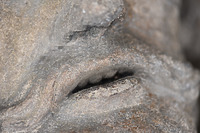 Marienkirche (ev. Stadtkirche St. Maria), Apostelfiguren Nordseite in 72764 Reutlingen Marienkirche (ev. Stadtkirche St. Maria), Apostelfiguren Nordseite in 72764 Reutlingen