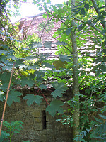 Westansicht des nachbarlichen Scheunenteils mit Übergang zum nördlichen Teil der Schafscheune (wegen der Bäume nur eingeschränkt sichtbar) / Ehem. Schafscheune in 74673 Mulfingen-Simprechtshausen (25.07.2018 - Bastian Heuberger) Westansicht des nachbarlichen Scheunenteils mit Übergang zum nördlichen Teil der Schafscheune (wegen der Bäume nur eingeschränkt sichtbar) / Ehem. Schafscheune in 74673 Mulfingen-Simprechtshausen (25.07.2018 - Bastian Heuberger)