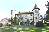 Schloss Königsegg, Ansicht Südwesten / Schloss Königsegg in 78479 Reichenau, Mittelzell (April 2021 - strebewerk. Architekten GmbH)