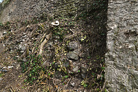 Am Mauerfuß bis zur Flucht des Strebepfeilers vortretende, hohe Steinpackung / Stadtmauer in 79206 Breisach, Breisach am Rhein (12.2021 - S. King)