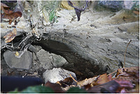 Stichbogenwölbung, von hinten her mit Erdreich verschüttet / Stadtmauer, Sternspitze in 79206 Breisach am Rhein (12.2021 - S. King)