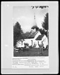 Südostansicht / Nikolauskapelle in 78262 Gailingen (1971 - LAD Baden-Württemberg, Außenstelle Freiburg) Südostansicht / Nikolauskapelle in 78262 Gailingen (1971 - LAD Baden-Württemberg, Außenstelle Freiburg)