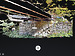 Aufnahme aus 3D-Modell / Eisenbahnüberführung 4880_EÜ-49,481 in 77773 Schenkenzell (23.07.2025 - Kornelius Goetz, denk.mal.digital (UG), kontakt@denkmaldigital.eu
www.denkmaldigital.eu )