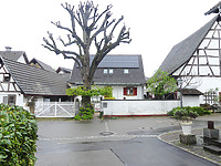 Westansicht der gesamten Hofanlage / Dreiseitgehöft, Scheune in 79418 Schliengen (2025 - Burghard Lohrum)