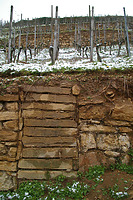 Baubefund im Castellberg, Historischer Terrassenweinberg bei Ballrechten-Dottingen / Castellberg, Historischer Weinberg in 79282 Ballrechten-Dottingen