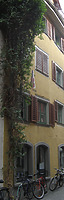 Konstanz, Rheingasse 8 (Schoenenberg 2008) / Haus zum Roßeisen und Haus zur Geige  in 78462 Konstanz
