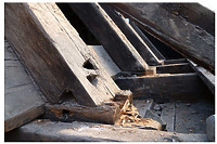 Wiedlöcher an einem Spaaren (Dachgeschoss) (2011) / Altes Bezirksrathaus, Rathaus in 70372 Stuttgart, Bad Cannstatt (01.07.2011 - strebewerk)